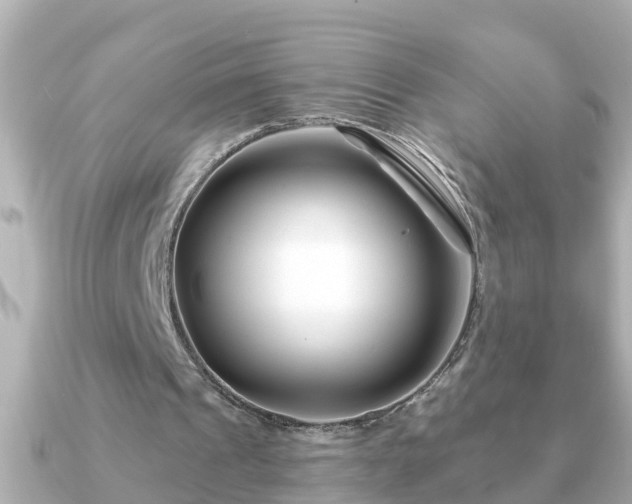 X0000090950241200708091333