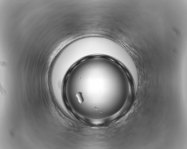 X0000090950244200708091333