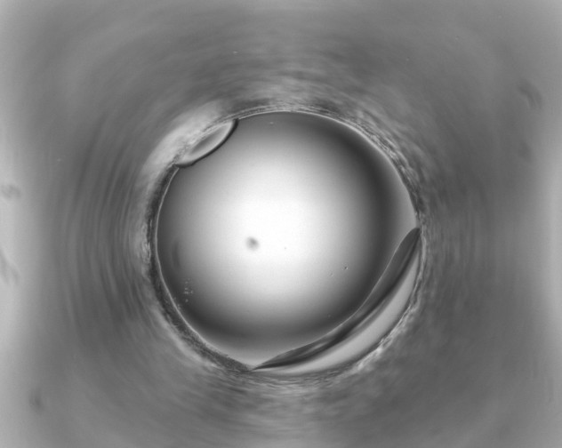 X0000090950245200708091333