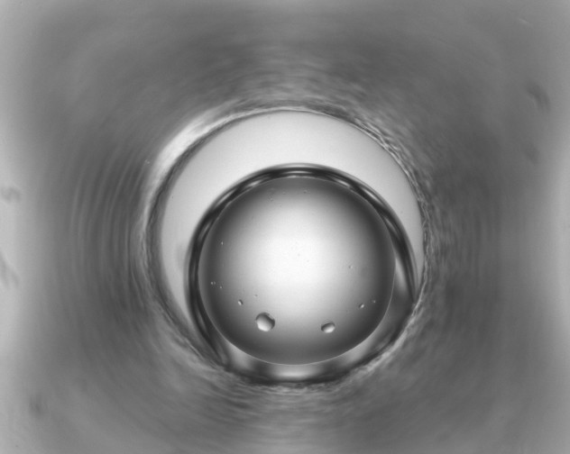 X0000090950246200708091333