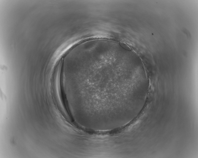 X0000090950247200708091333
