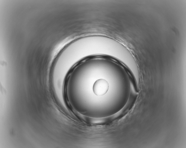 X0000090950248200708091333