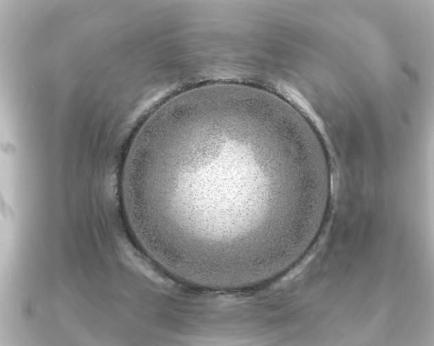X0000090950249200708091333