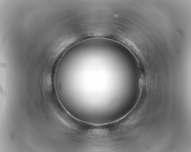 X0000090950251200708091333