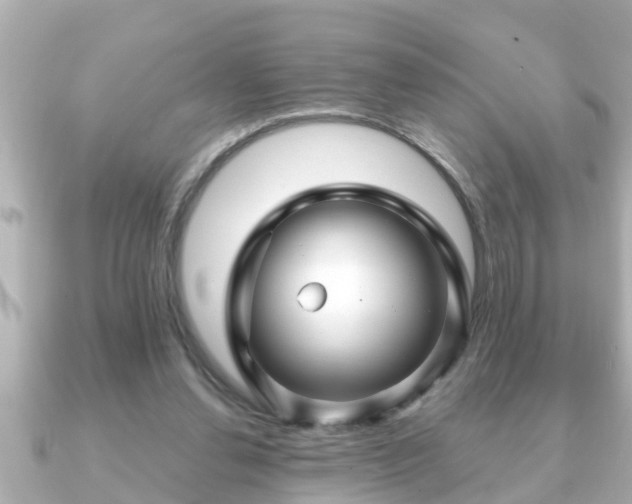 X0000090950252200708091333