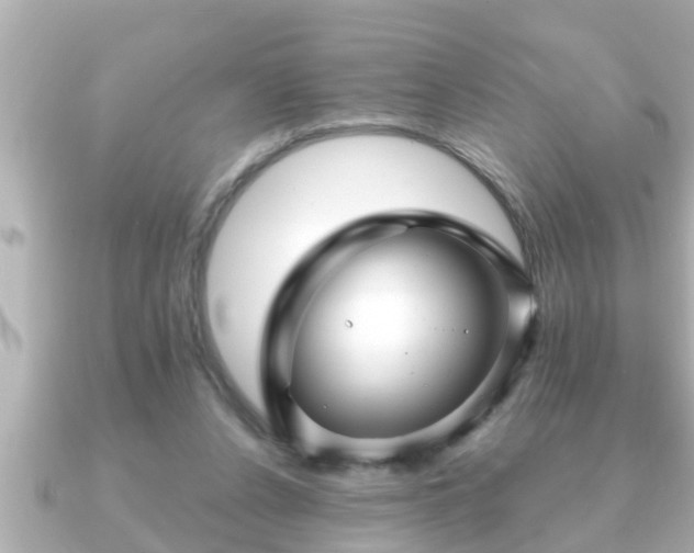 X0000090950256200708091333