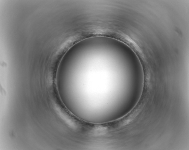 X0000090950257200708091333