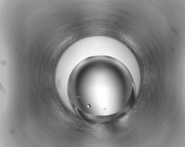 X0000090950258200708091333