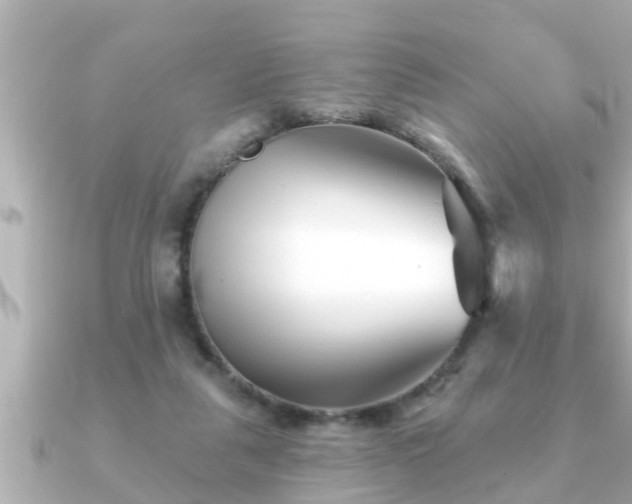 X0000090950259200708091333