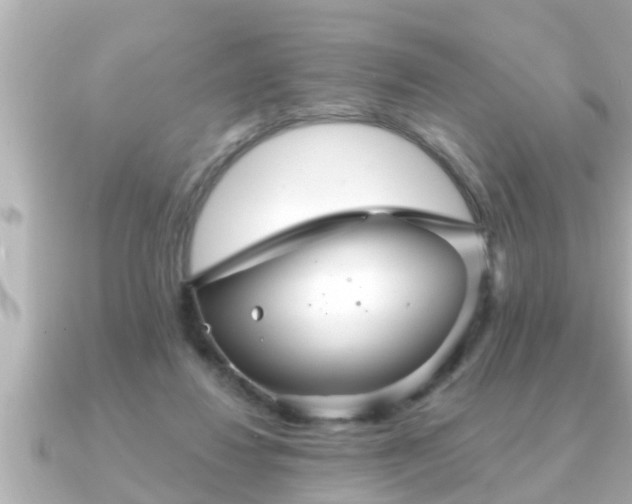 X0000090950260200708091333