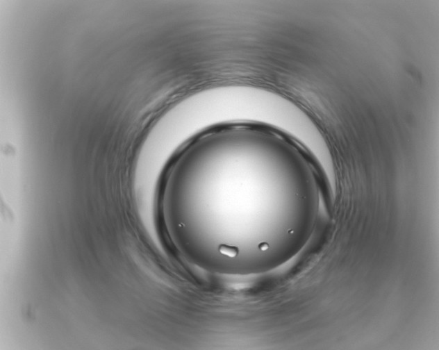 X0000090950262200708091333