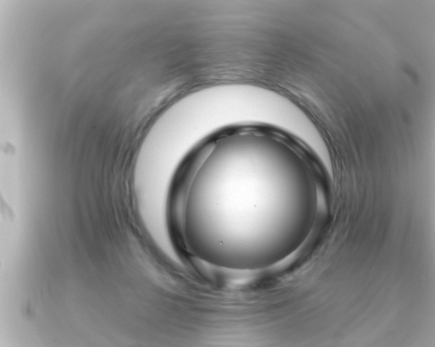 X0000090950264200708091333