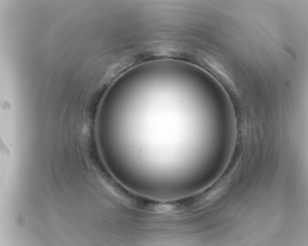 X0000090950265200708091333