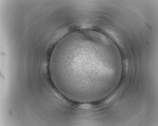 X0000090950269200708091333