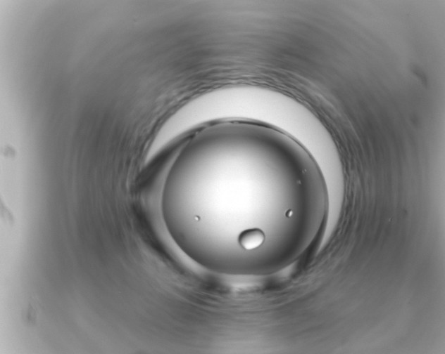 X0000090950270200708091333