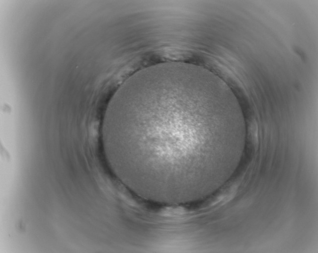 X0000090950271200708091333