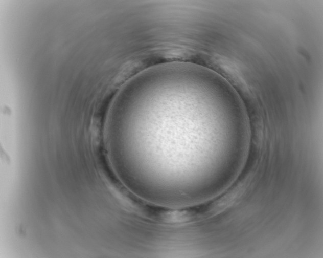 X0000090950273200708091333