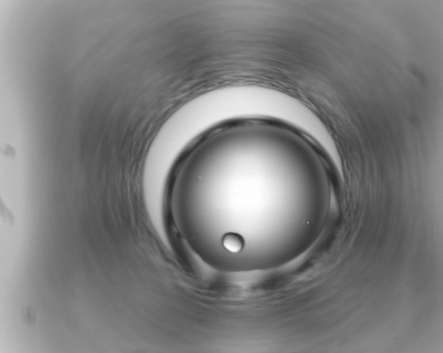 X0000090950274200708091333