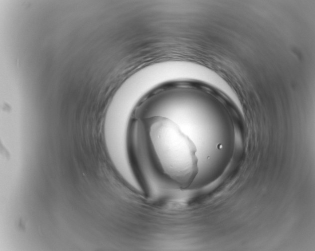 X0000090950278200708091333