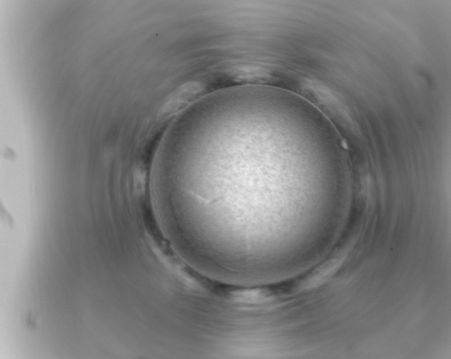 X0000090950281200708091333