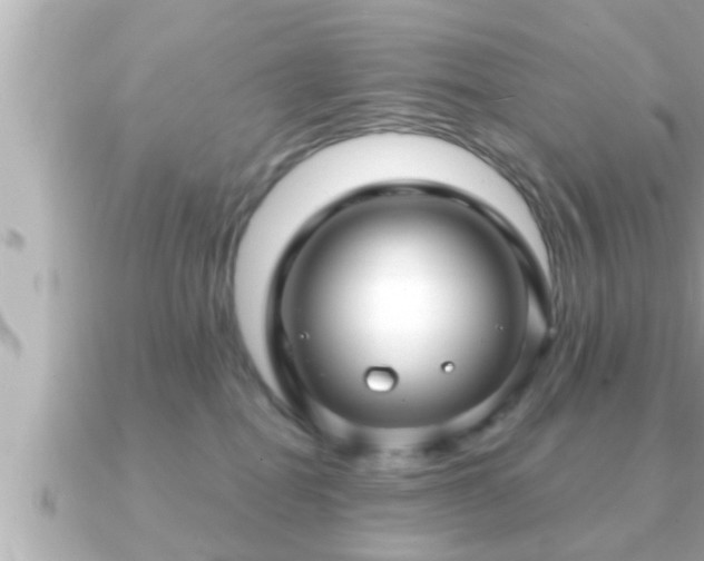X0000090950282200708091333