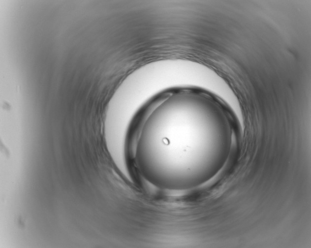 X0000090950284200708091334