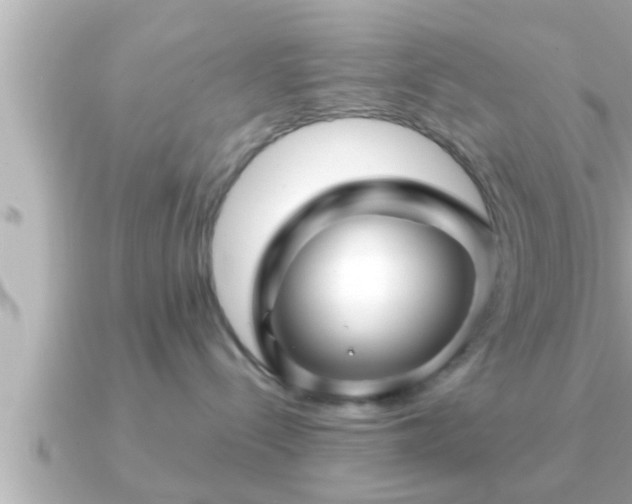 X0000090950288200708091334