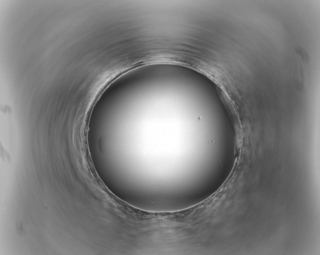 X0000090950289200708091333