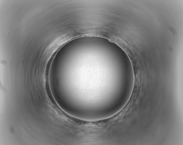 X0000090950290200708091333
