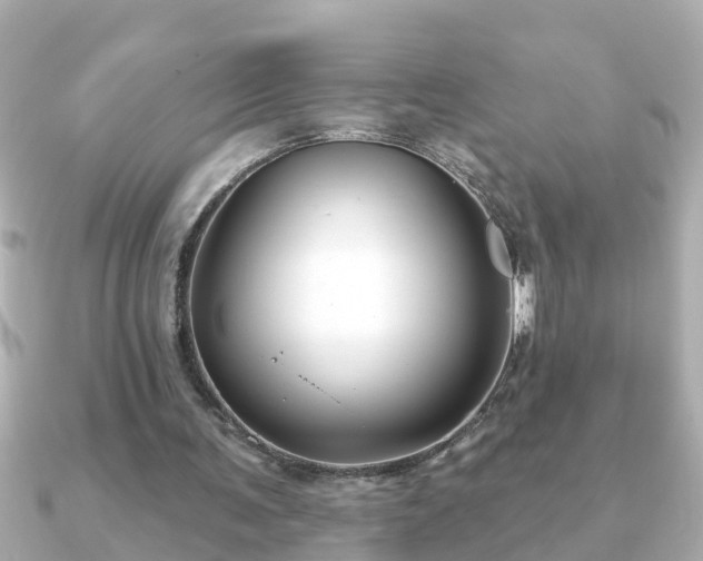 X0000090950291200708091333