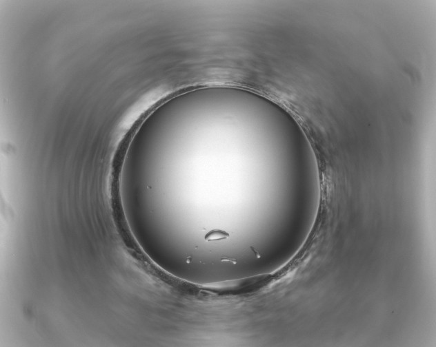X0000090950292200708091333