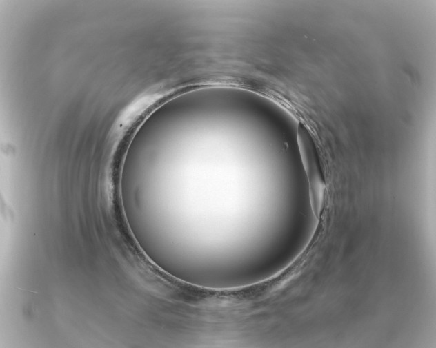X0000090950294200708091333