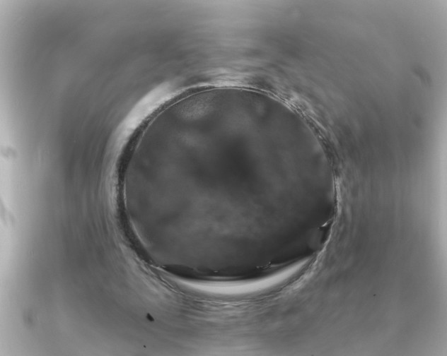 X0000090950295200708091333