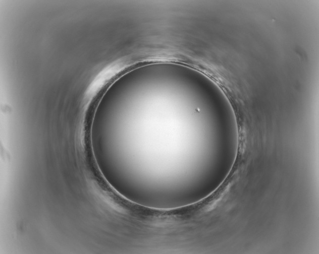 X0000090950296200708091333