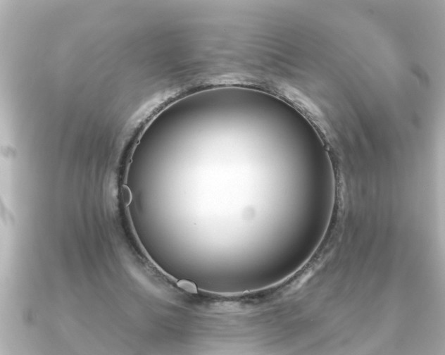 X0000090950298200708091333