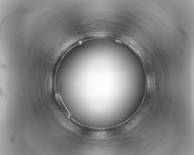X0000090950301200708091333