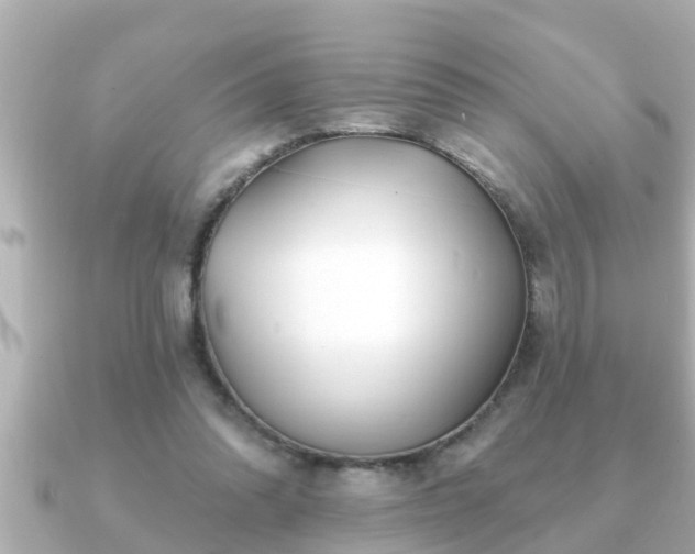 X0000090950302200708091333