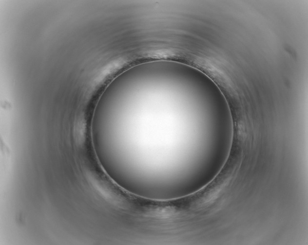 X0000090950304200708091333