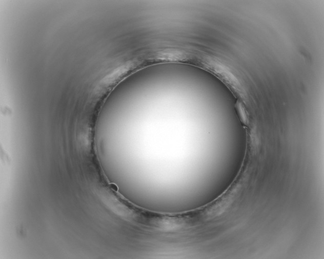 X0000090950305200708091333