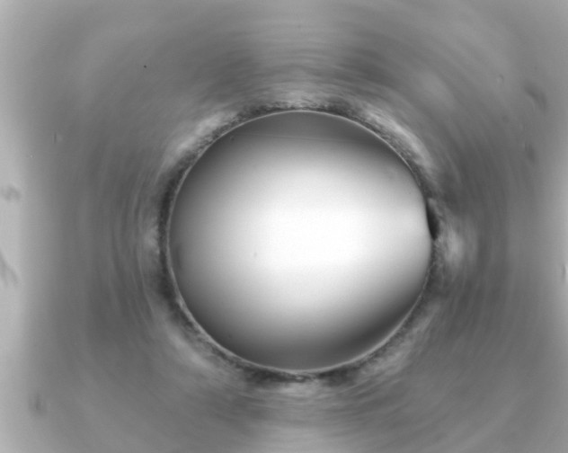 X0000090950306200708091333