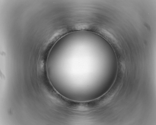 X0000090950308200708091333