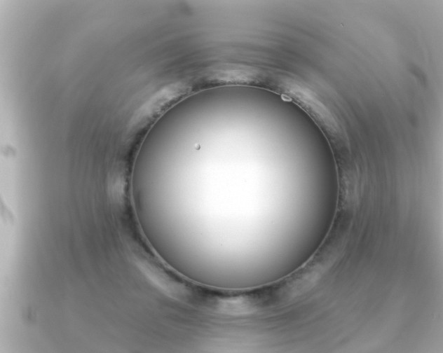 X0000090950309200708091333