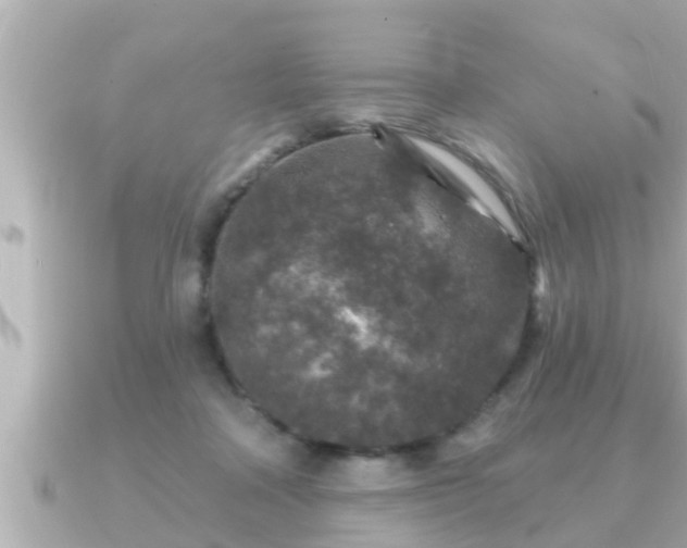 X0000090950314200708091333