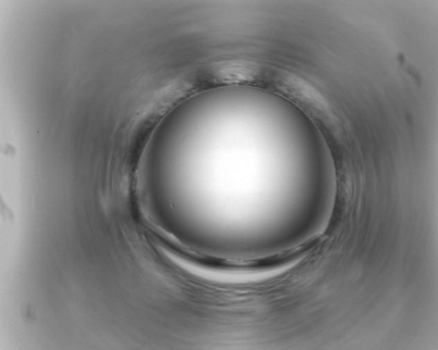 X0000090950315200708091333