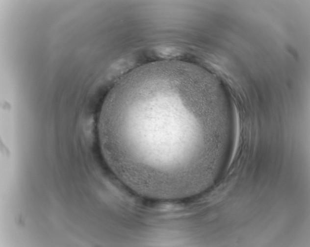 X0000090950319200708091333