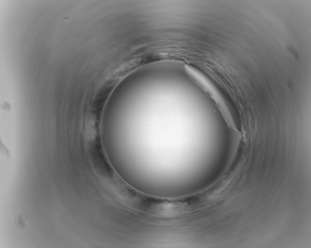 X0000090950323200708091333