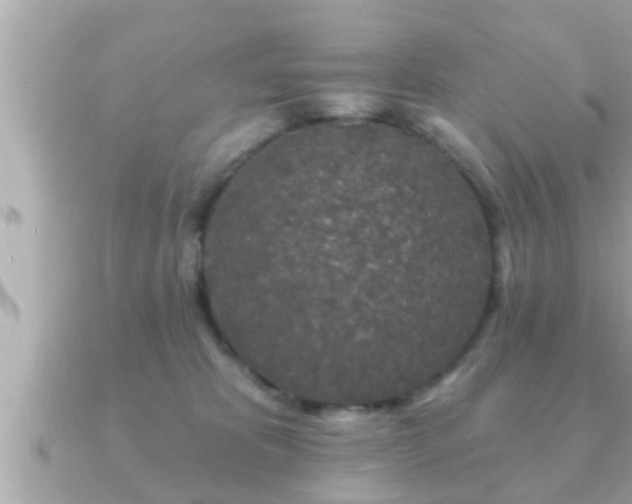 X0000090950325200708091333