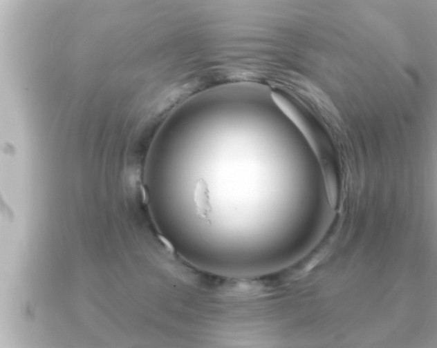 X0000090950329200708091333