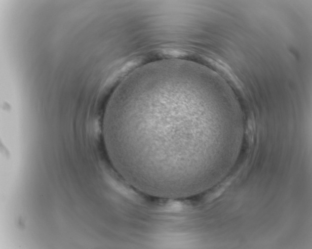X0000090950330200708091333