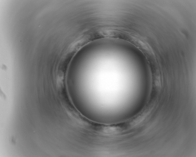 X0000090950332200708091333